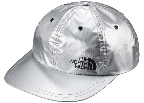 Supreme The North Face Metallic 6-Panel